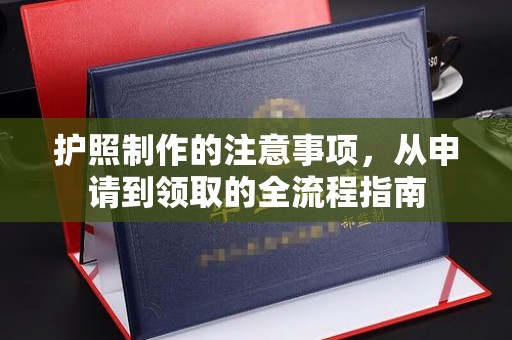 美浓护照制作的注意事项，从申请到领取的全流程指南