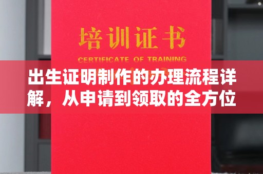 美浓出生证明制作的办理流程详解，从申请到领取的全方位指南