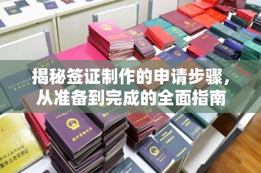 美浓揭秘签证制作的申请步骤，从准备到完成的全面指南