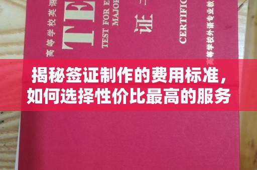 美浓揭秘签证制作的费用标准，如何选择性价比最高的服务？