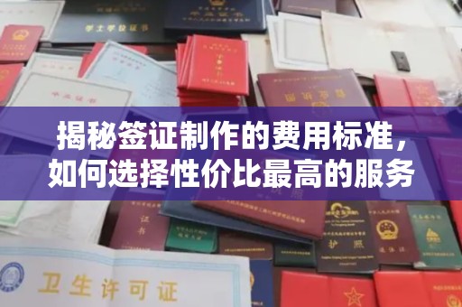 美浓揭秘签证制作的费用标准，如何选择性价比最高的服务？