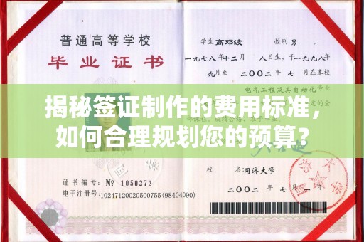 美浓揭秘签证制作的费用标准，如何合理规划您的预算？
