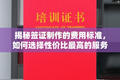 美浓揭秘签证制作的费用标准，如何选择性价比最高的服务？