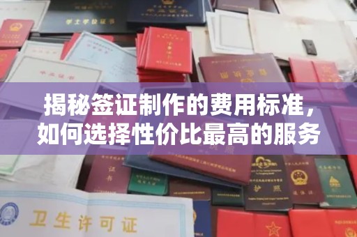 美浓揭秘签证制作的费用标准，如何选择性价比最高的服务？