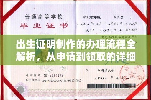美浓出生证明制作的办理流程全解析，从申请到领取的详细指南